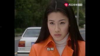 爱人西瓜视频在线观看,与爱人共享甜蜜时光  第2张